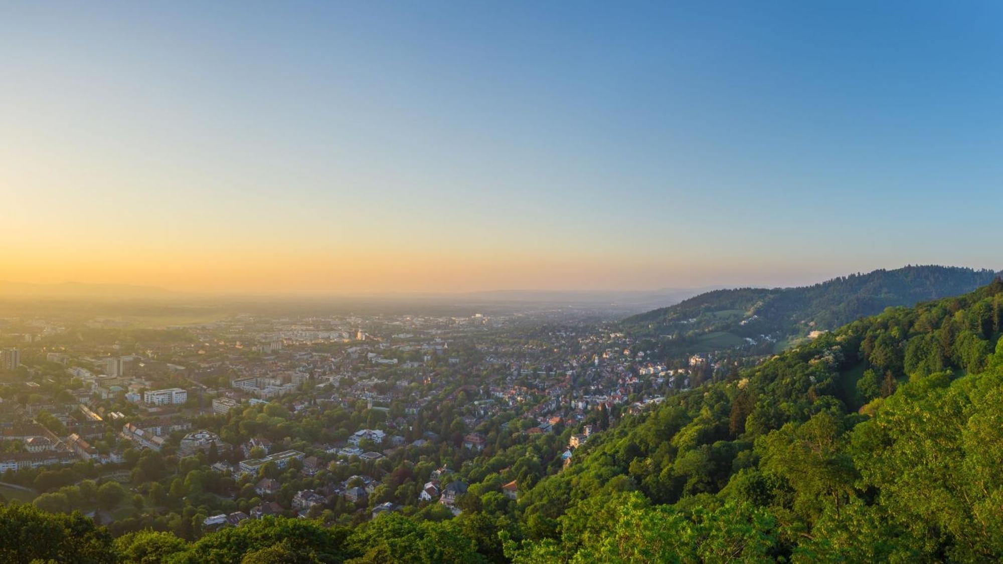 Ferienwohnung Muenster, Sehr Zentral フライブルク エクステリア 写真