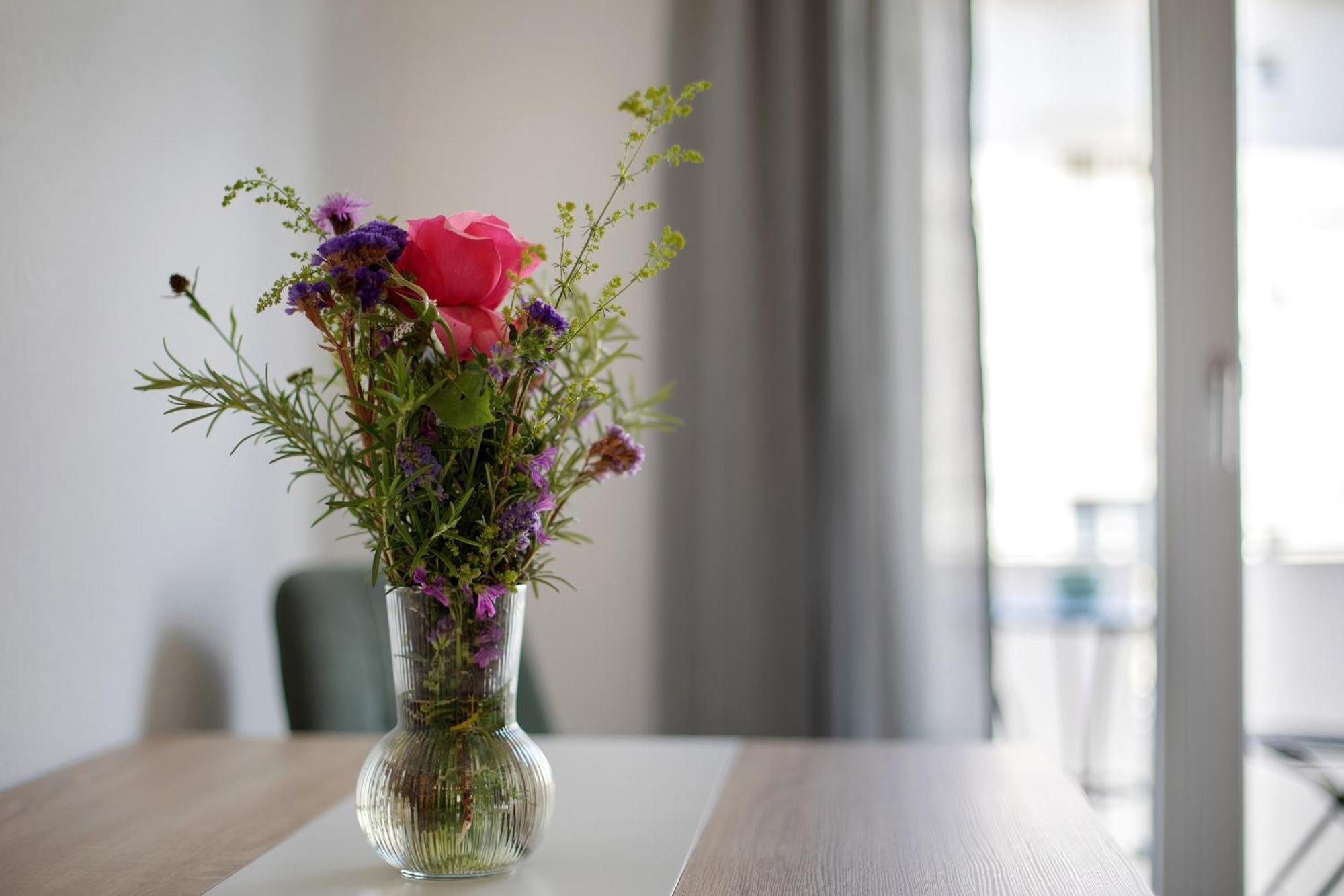 Ferienwohnung Muenster, Sehr Zentral フライブルク エクステリア 写真